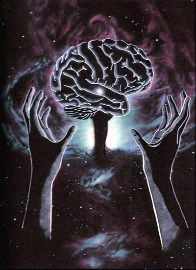 oa_cosmic_brain