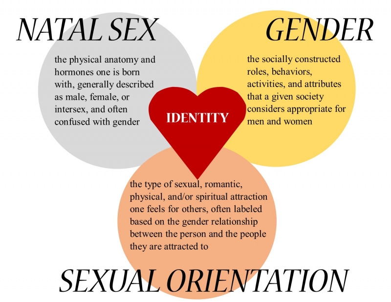 sex-gender-sexual-orientation