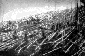 Forest of Tunguska post the explosion. Picture taken in 1927