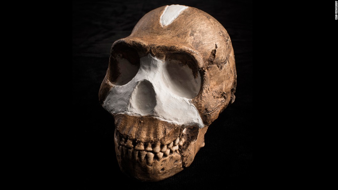 150910112025-restricted-homo-naledi-skull-closeup-wits-super-169