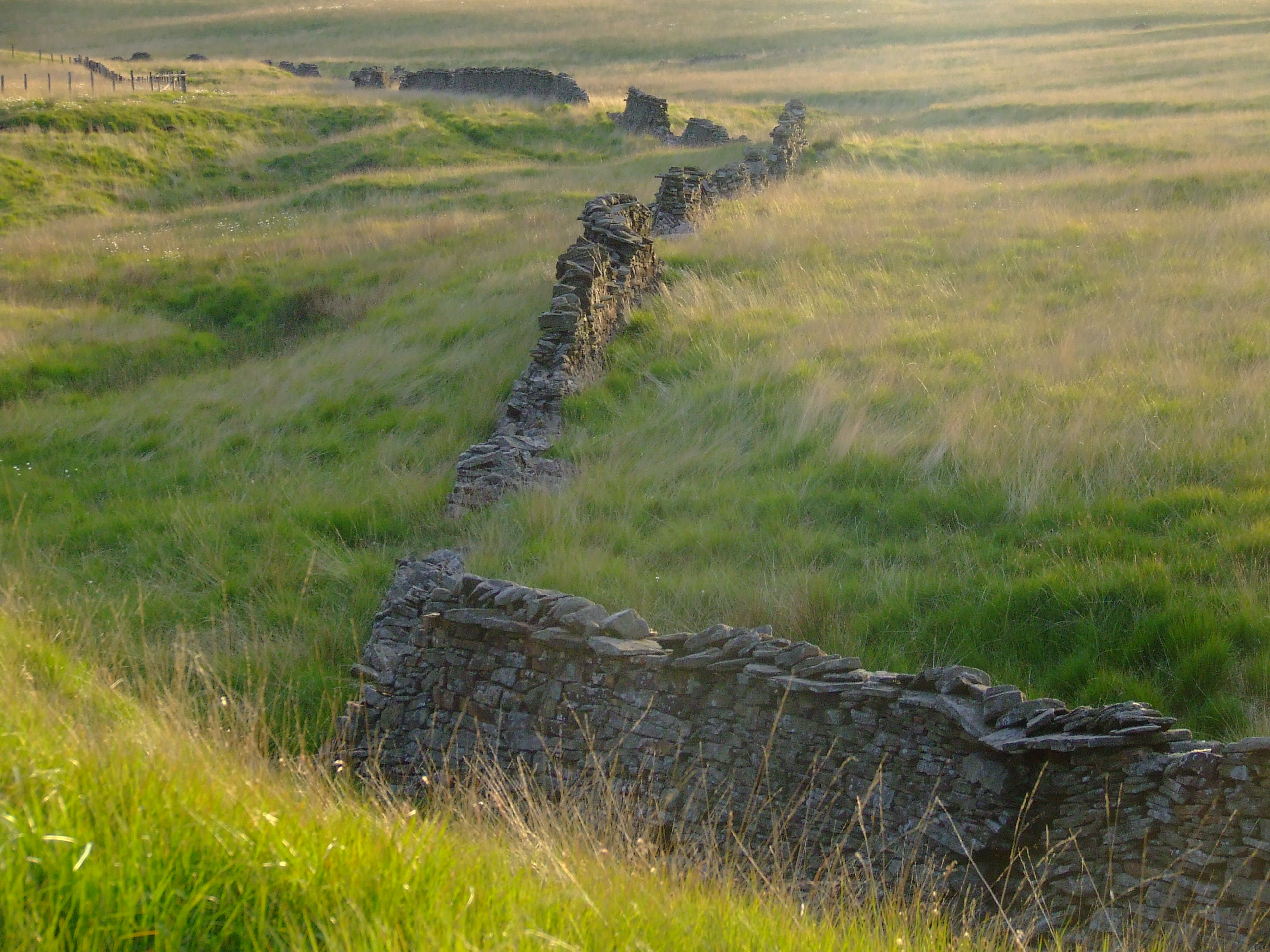 Dry_stone_wall_near_Calf_Hey_Brook,_West_Pennine_Moors_-_geograph.org.uk_-_1710989