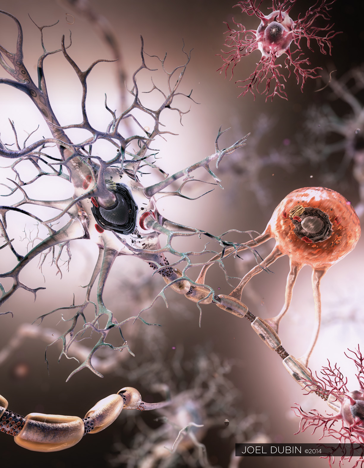 Умершие клетки мозга. Клетка глия мозг. Нейрон клетка головного мозга. Микроглия и Нейроны. Клетки нейроглии.